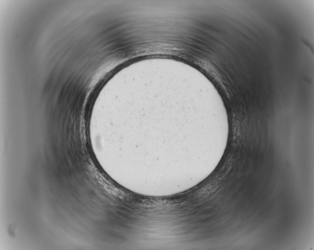 X0000102481072200809051350