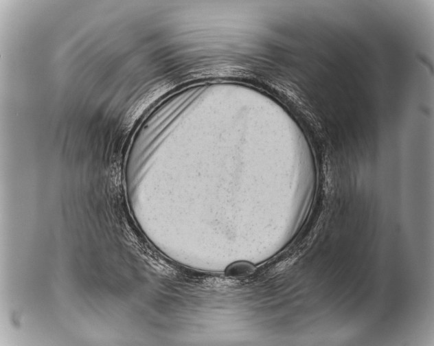 X0000102481073200809051350