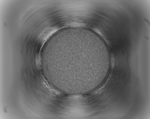 X0000102481074200809051350