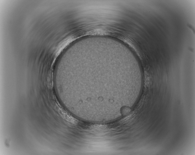 X0000102481075200809051350