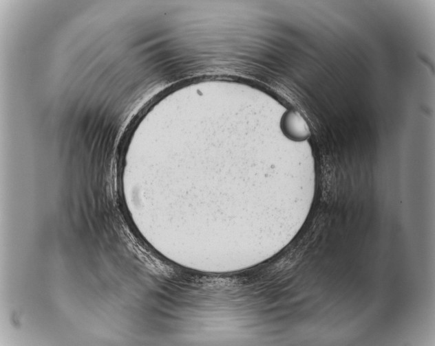 X0000102481076200809051350