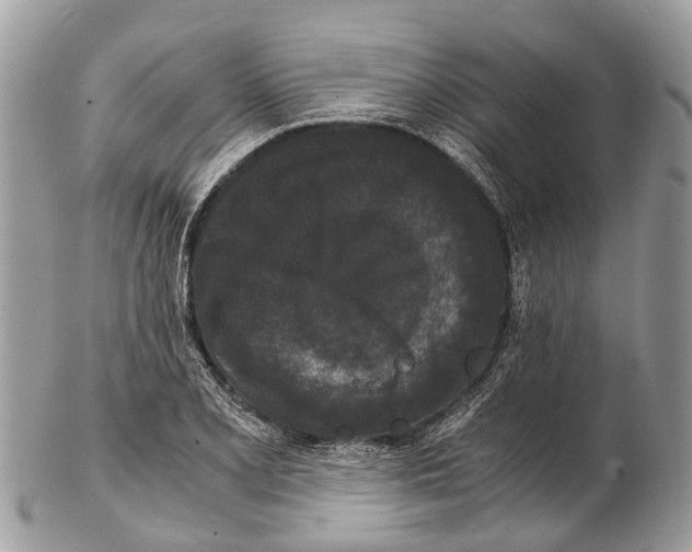 X0000102481077200809051350