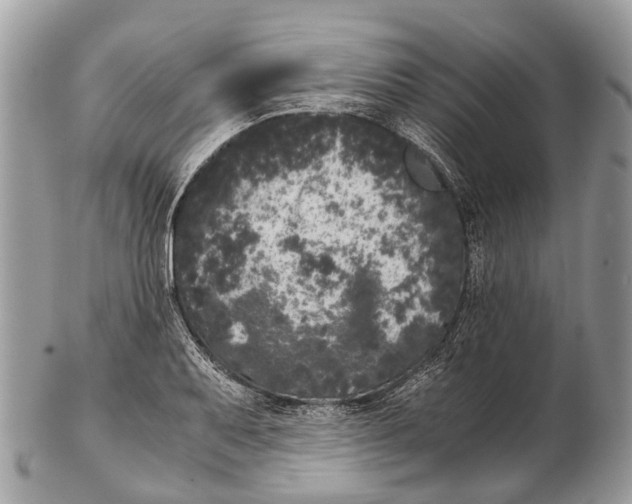 X0000102481079200809051350