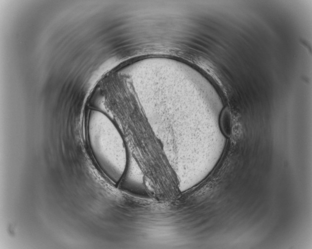 X0000102481080200809051350