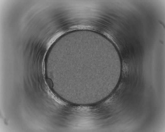 X0000102481082200809051350