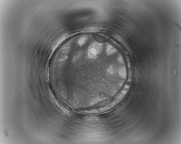 X0000102481083200809051350