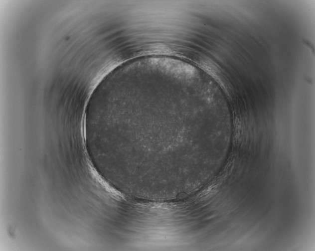 X0000102481084200809051350