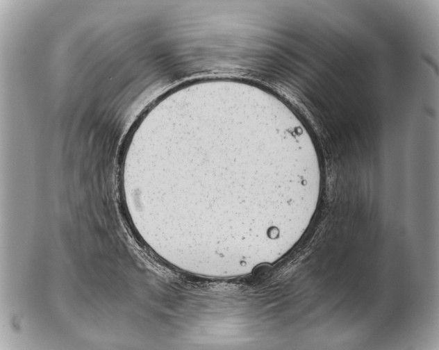 X0000102481085200809051350