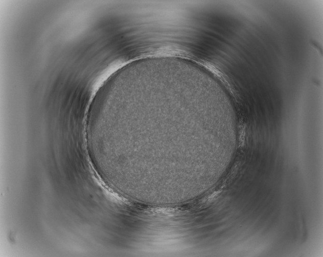 X0000102481086200809051350