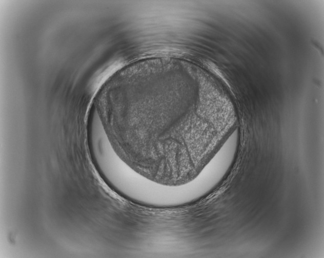 X0000102481087200809051350