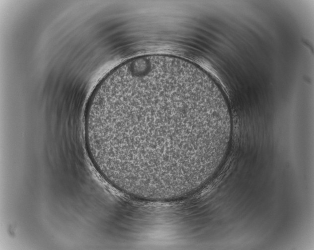 X0000102481088200809051350