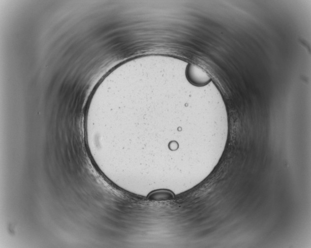 X0000102481092200809051350