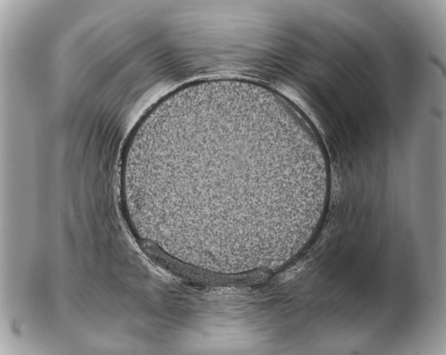 X0000102481093200809051350