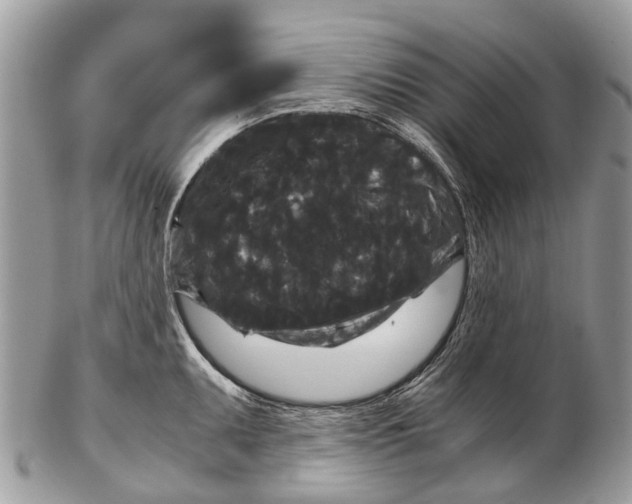 X0000102481095200809051350