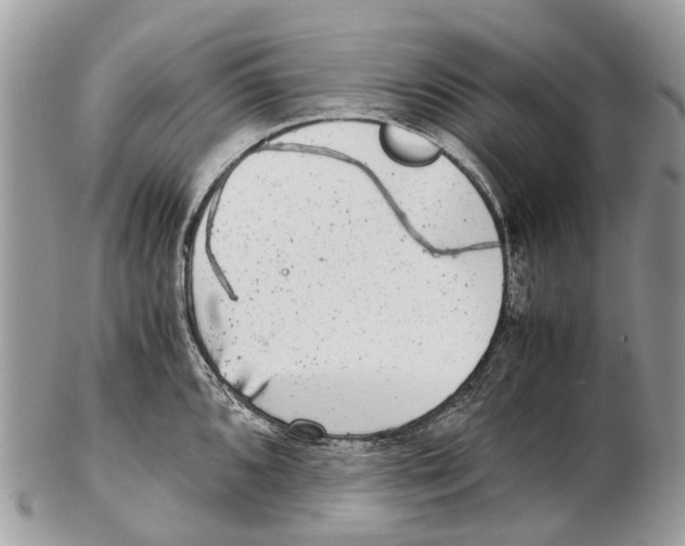 X0000102481096200809051350