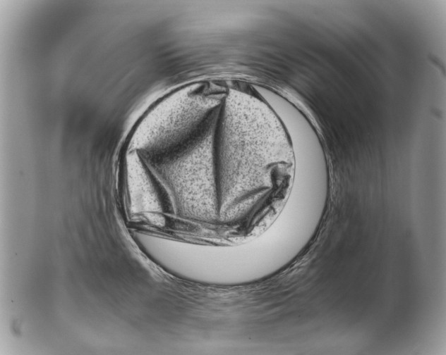 X0000102481099200809051350