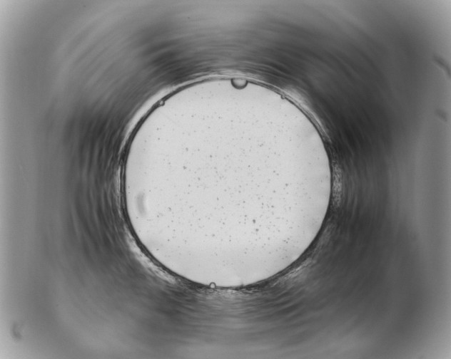 X0000102481100200809051350