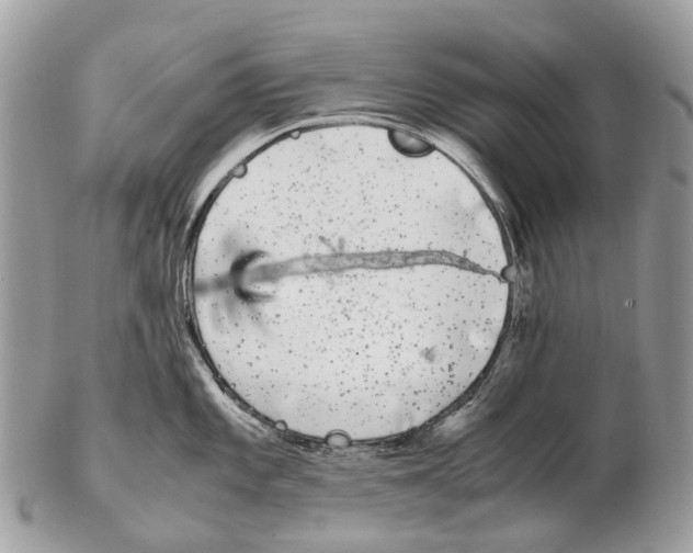 X0000102481101200809051350