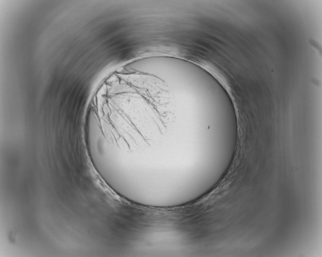 X0000102481104200809051350