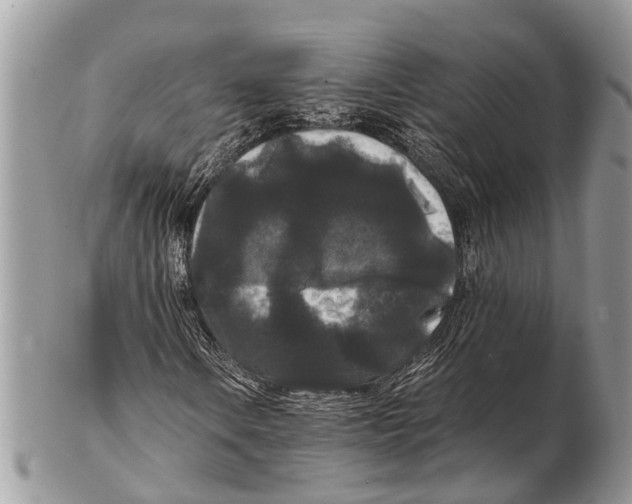 X0000102481106200809051349