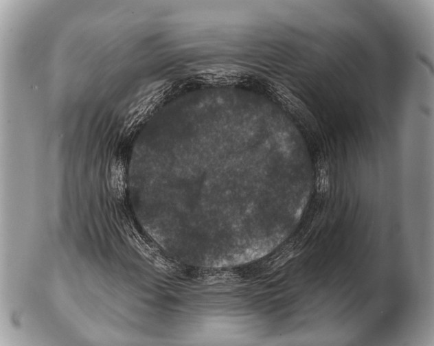 X0000102481108200809051349