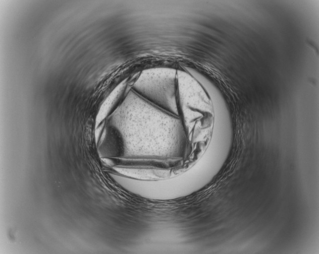 X0000102481110200809051349