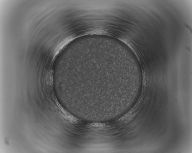 X0000102481115200809051349