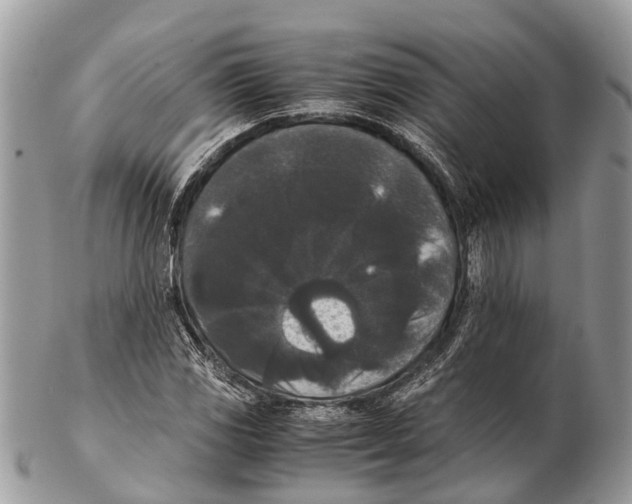 X0000102481117200809051349