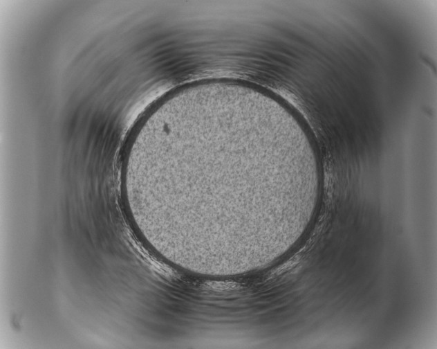 X0000102481119200809051349