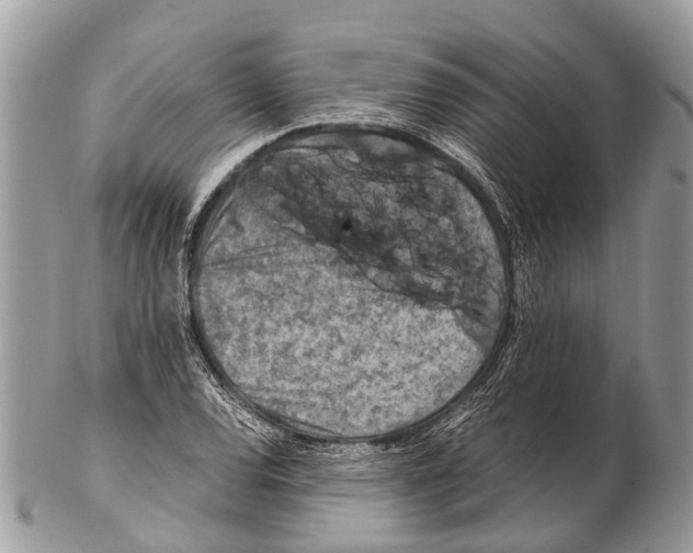 X0000102481120200809051349