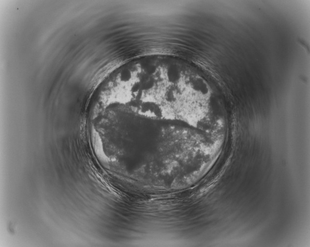 X0000102481121200809051349