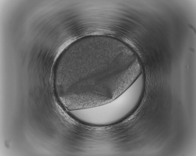 X0000102481122200809051349