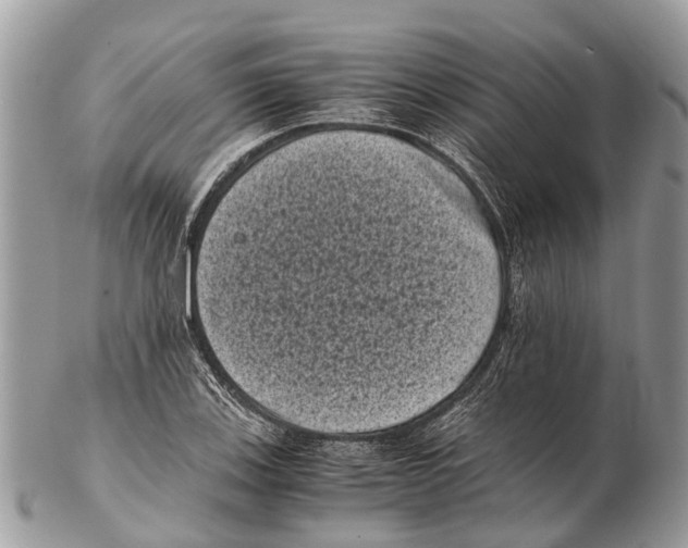 X0000102481123200809051349