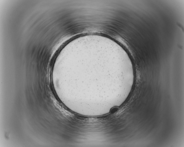 X0000102481124200809051349