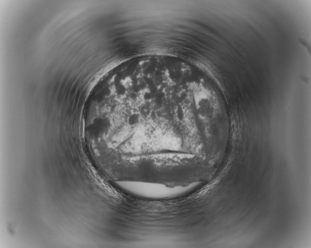 X0000102481125200809051349