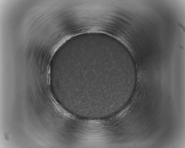 X0000102481126200809051349