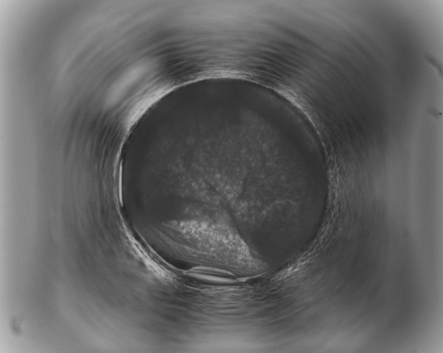 X0000102481127200809051349