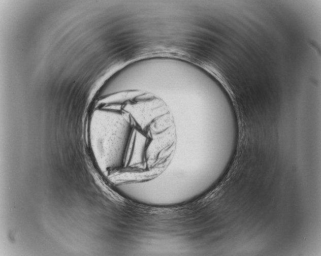 X0000102481128200809051349