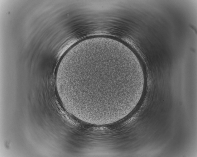 X0000102481129200809051350