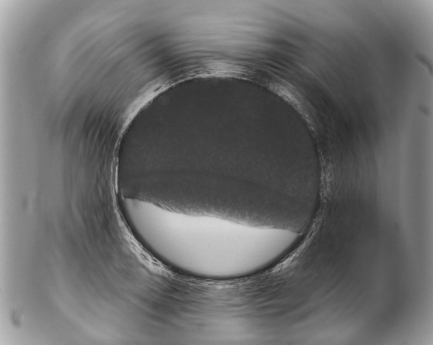 X0000102481130200809051350