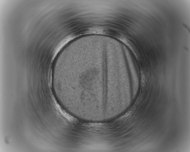 X0000102481131200809051350