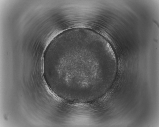 X0000102481132200809051350