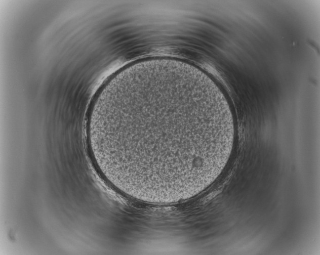 X0000102481133200809051350