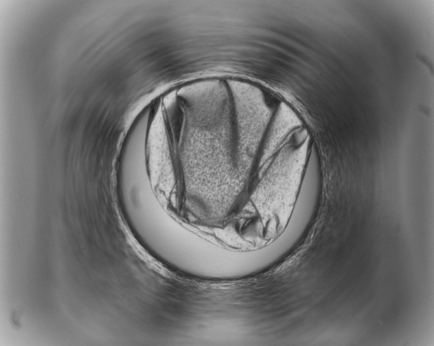 X0000102481134200809051350