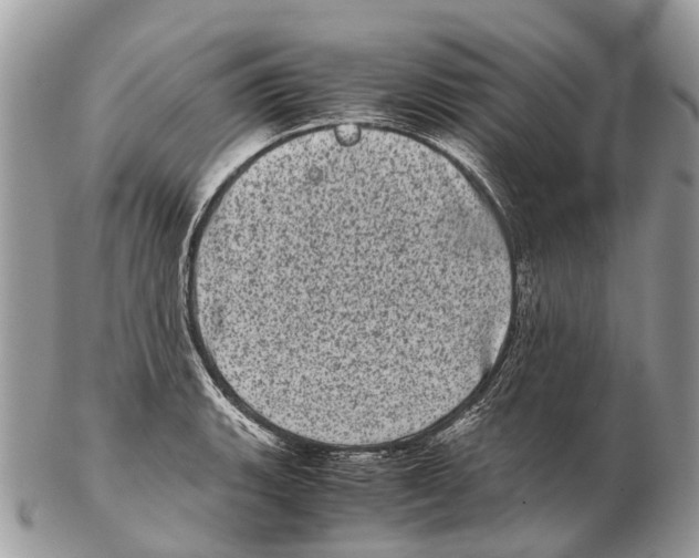 X0000102481135200809051350