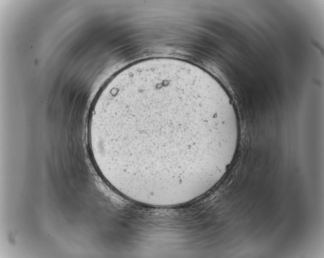 X0000102481136200809051350