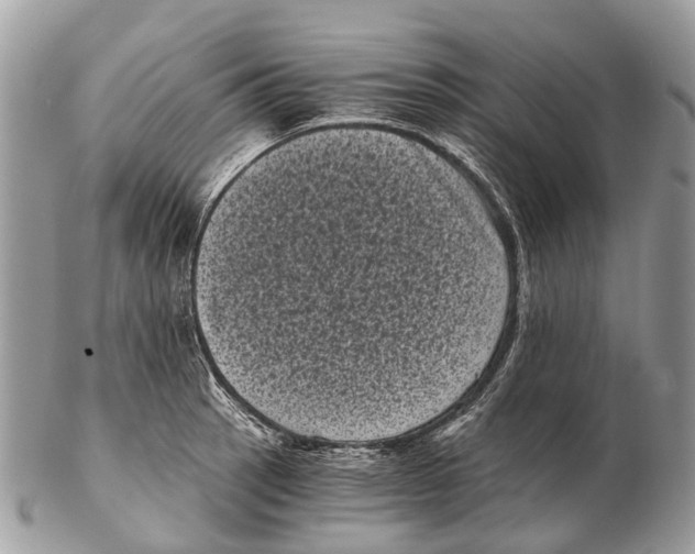 X0000102481137200809051350