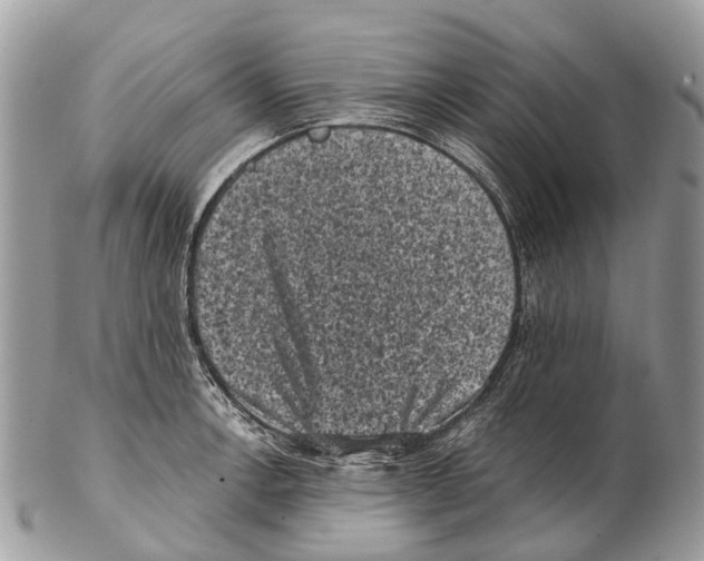 X0000102481138200809051350