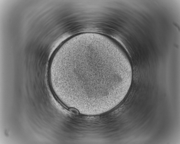 X0000102481139200809051350