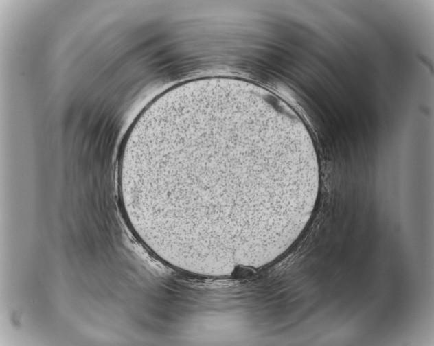 X0000102481140200809051350